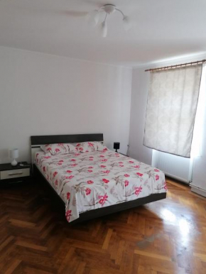 Apartament Andrei